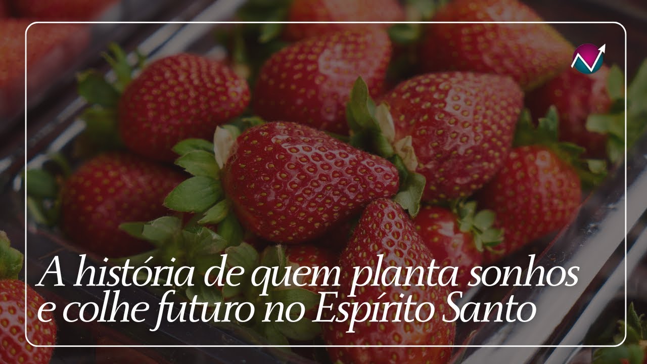 A história de quem planta sonhos e colhe futuro no Espírito Santo