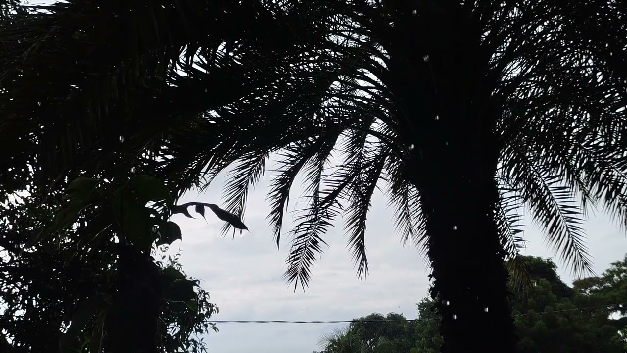 Natural Rain Sounds for Inner Peace