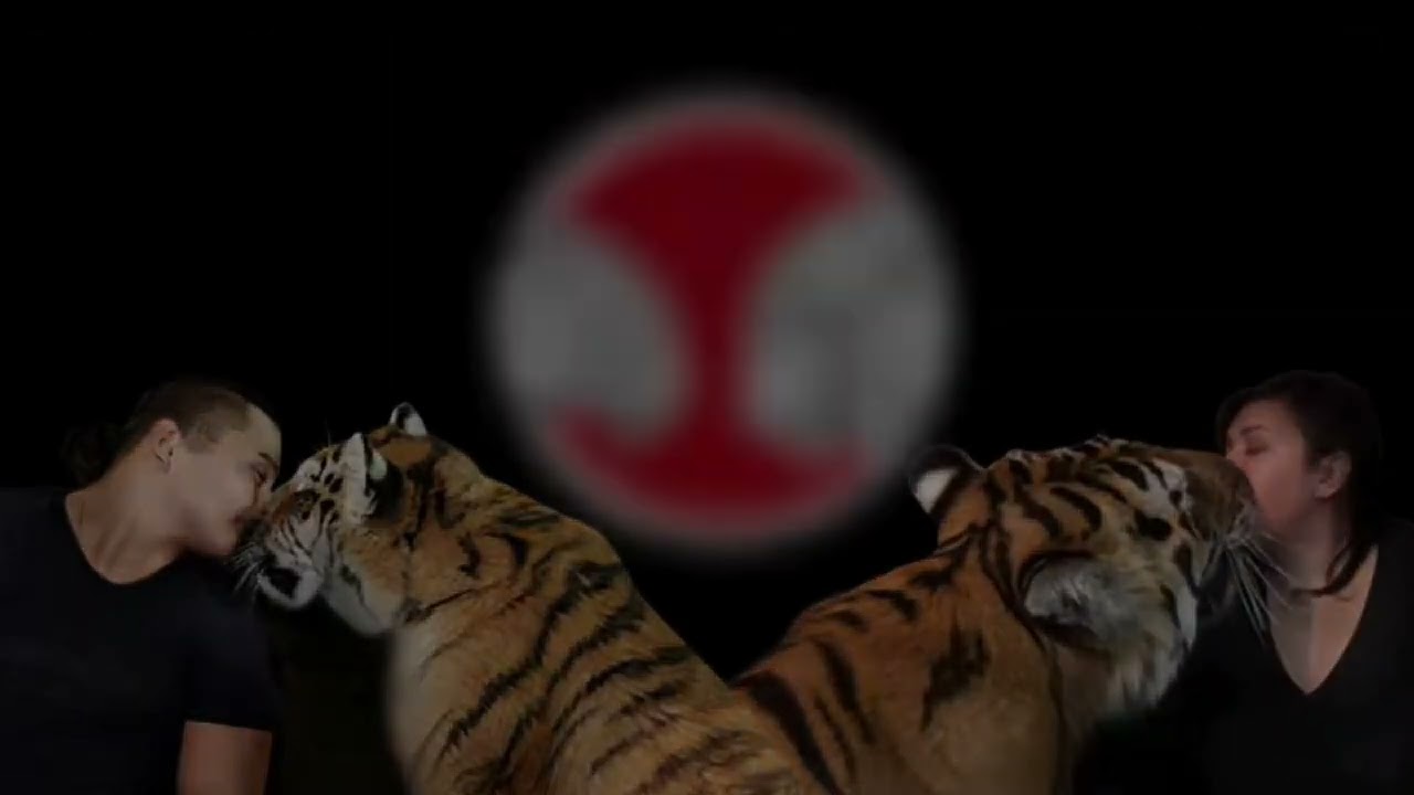 Интро канала Дом Тигра - Tiger House