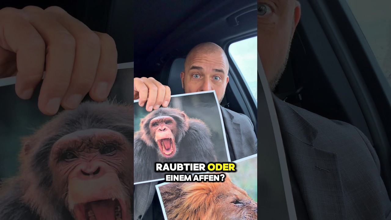 Wann Deeskalation nicht funktioniert!