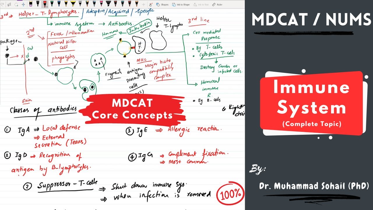 MDCAT | Immunity | Types of Immunity | Types of Antibodies