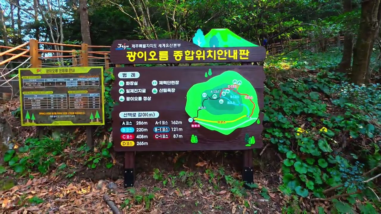 Halla Arboretum Jeju Island 🏝️ South Korea