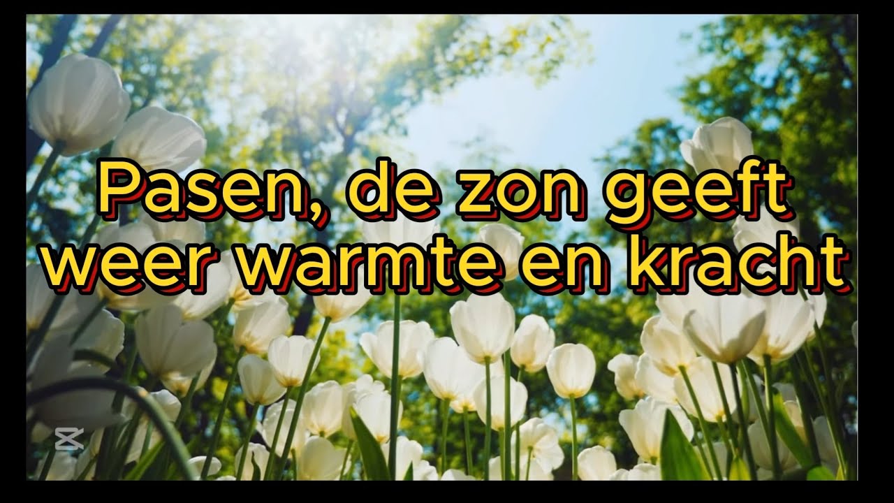 Het is Pasen (met lyrics)