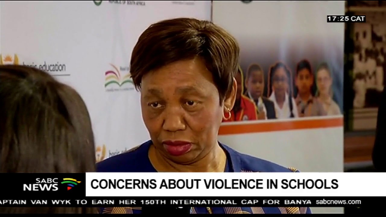 Angie Motshekga on violence in schools