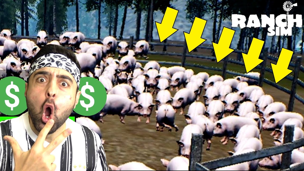 BİR SÜRÜ HAYVAN ALDIK 🤑 ZENGİN OLDUK ! RANCH SİMULATOR EKİP !