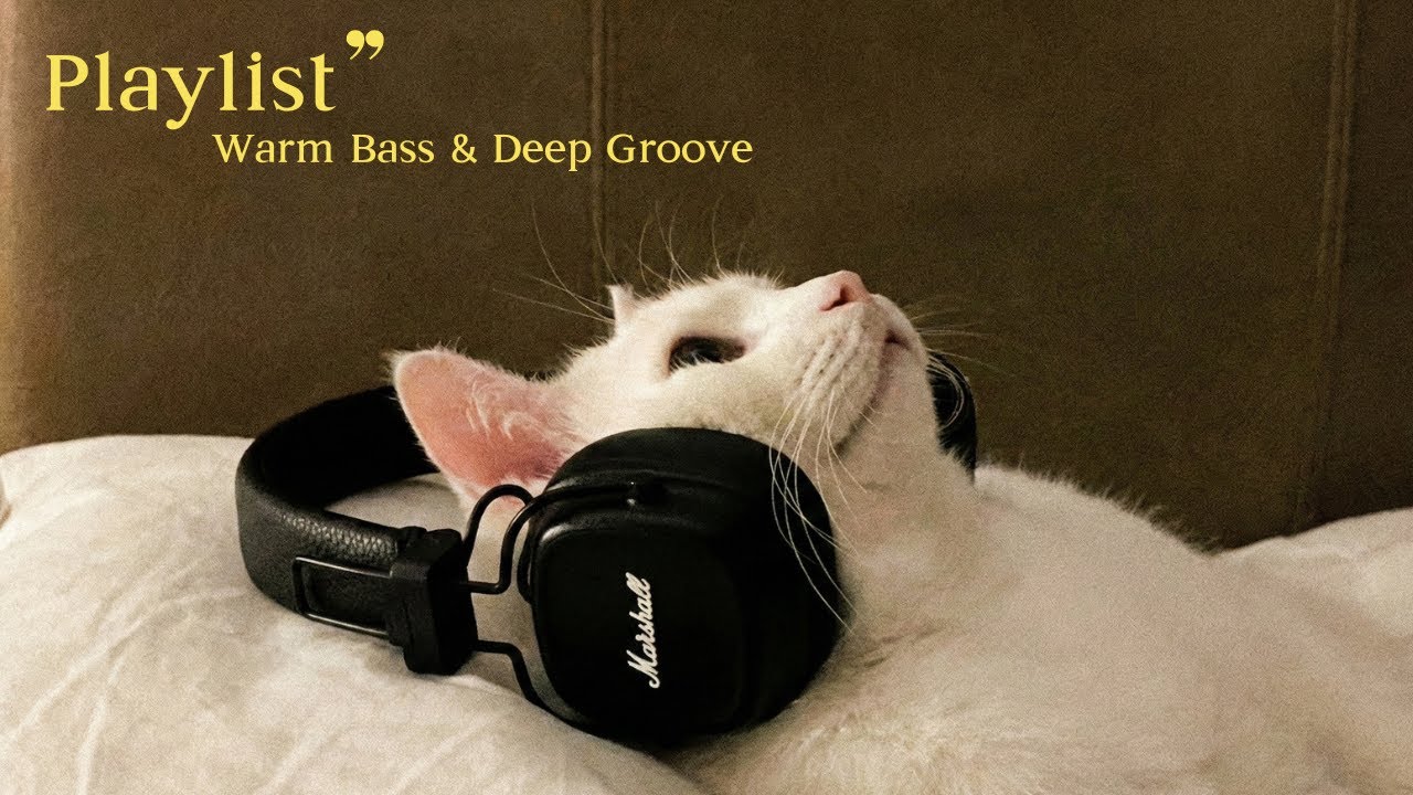 Warm Bass & Deep Groove // 溫暖低頻・深夜律動 [Hi-Fi Audio]
