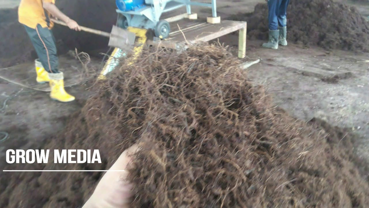 Organic Compost Mycorrhiza - Grow Media