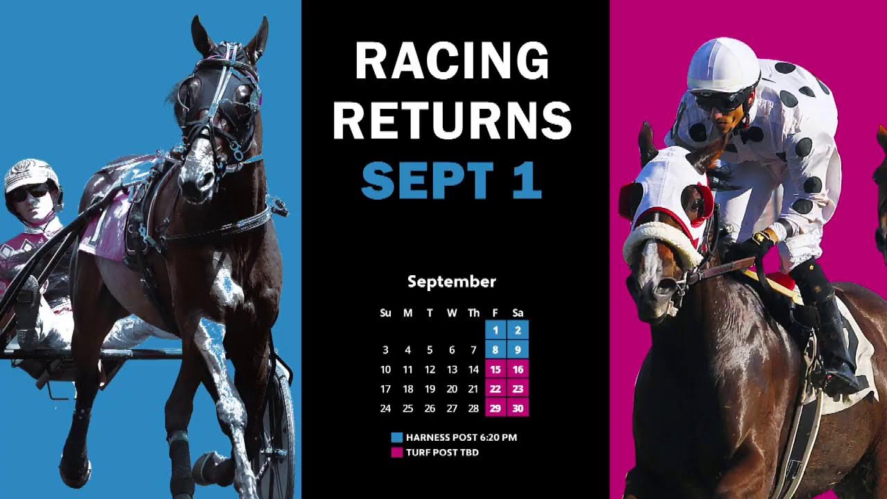 Meadowlands Racing & Entertainment Live Stream