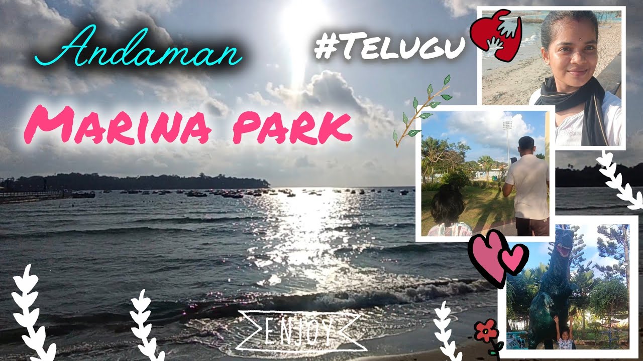 🍁Andaman🏝️ Marina park beautiful morning view🌅💞in this video #beachview 🍁 #AndamanloAndhraAmmai🏝️