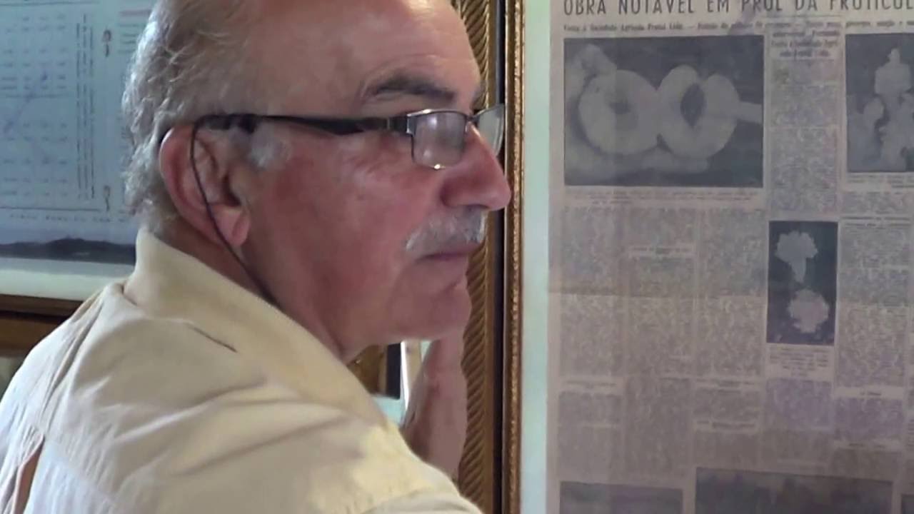 353 ) - PARTE UM -   LUCIANO POLETTI PATRONO DA UVA ITALIA  - FERRAZ DE  VASCONCELOS  SP   498