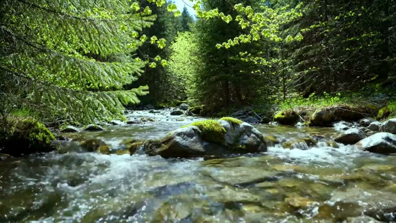Шепот реки и пение птиц для глубокой релаксации, сна и снятия стресса