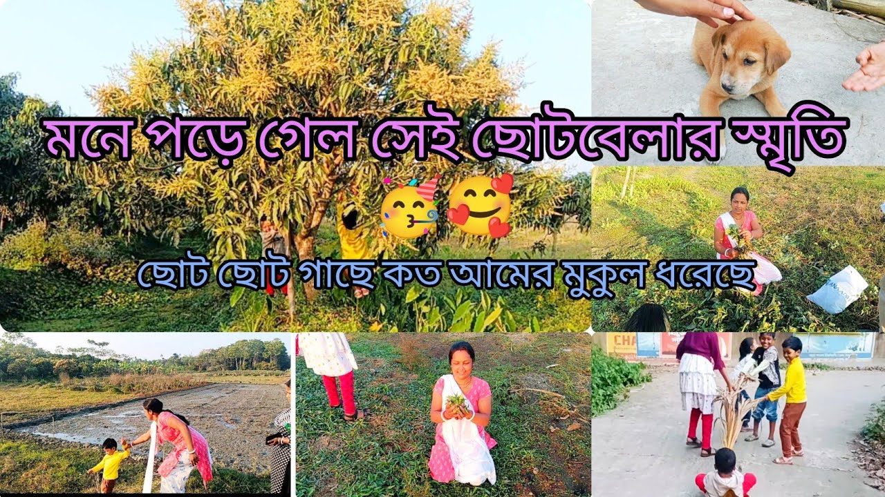 শাক তুলতে গিয়ে আজ কত কিছু নিয়ে এলাম 🥳😊 মাঠে ঘাটে যে কত আনন্দ 🤗🥰❤️