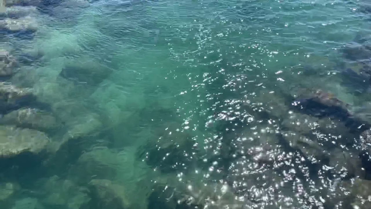 En una isla de Palm beach