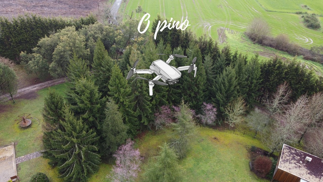 O pino, Spain 4K | SkyTech