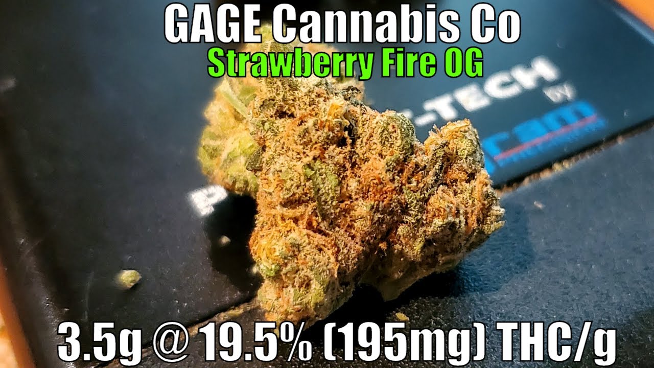 GAGE Cannabis CO - Strawberry Fire OG Unboxing Review - 3.5g 19.5% (195mg) THC/g (+Extreme Closeups)