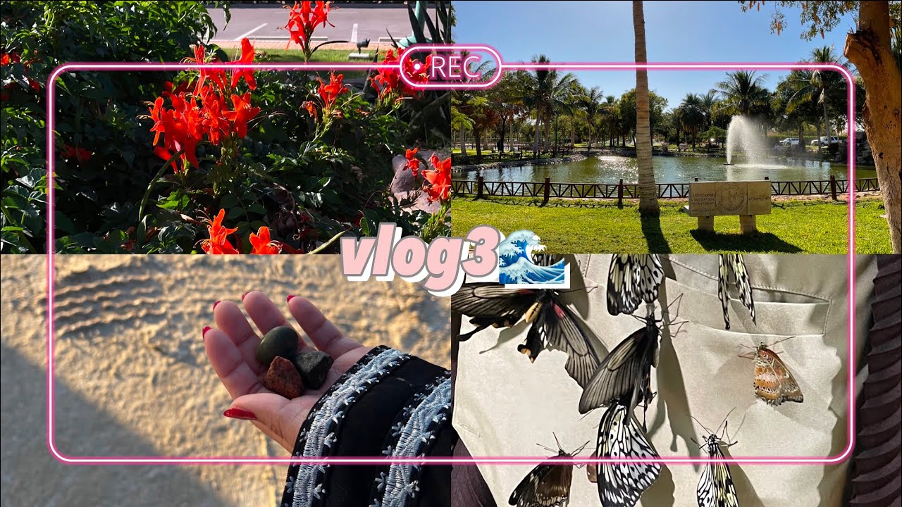 فلوق البحر  sea vlog 🌊🩵 شفت اخطبوط🐙 بحر ينبع وثول وجده | أصوات الطبيعه في ينبع