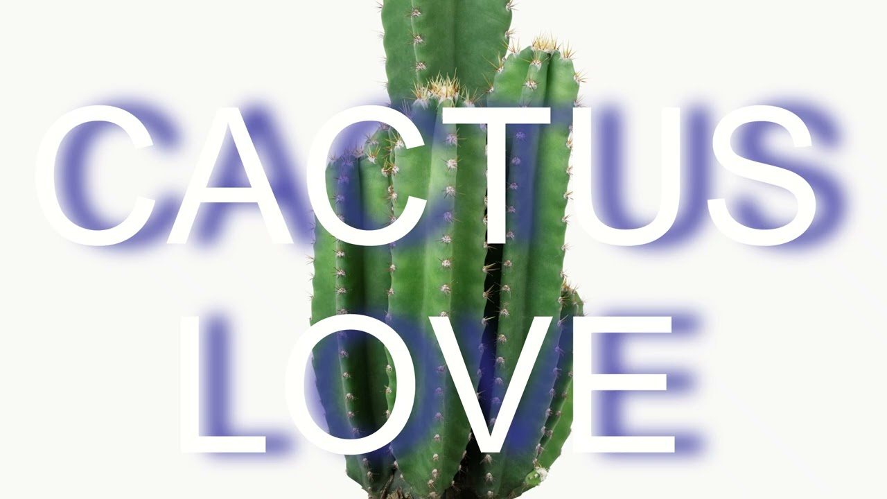 DJ RYSZEK - CACTUS LOVE