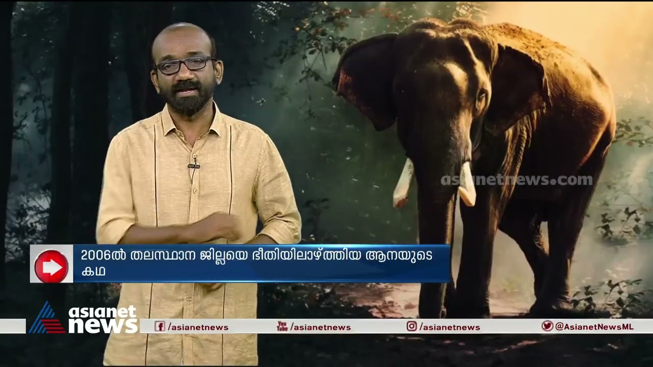 2006ൽ തിരുവനന്തപുരത്തെ വിറപ്പിച്ച 'കൊലകൊല്ലി'യുടെ കഥ | Kolakolli Elephant