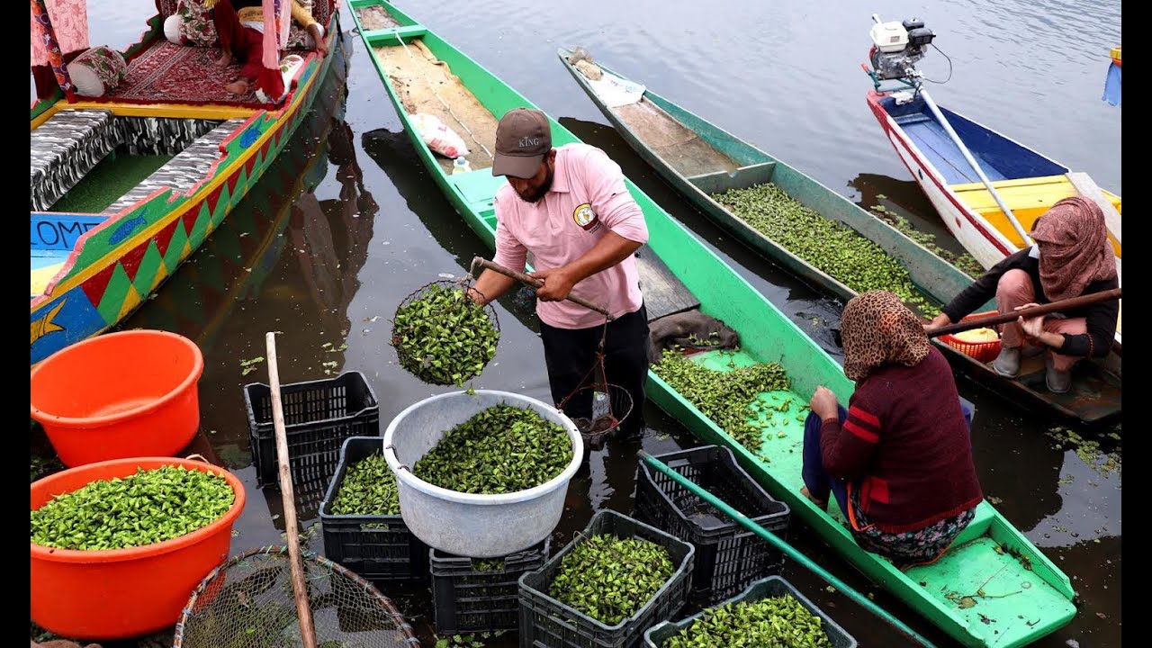 Asia's second-largest fresh water lake is endangered by pollution, rising temperatures