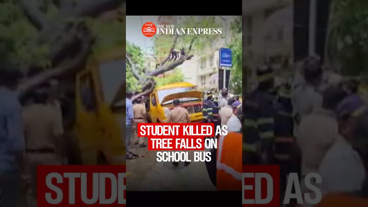 Mumbai rains: 11-year-old dies after tree falls on school bus in Chembur
