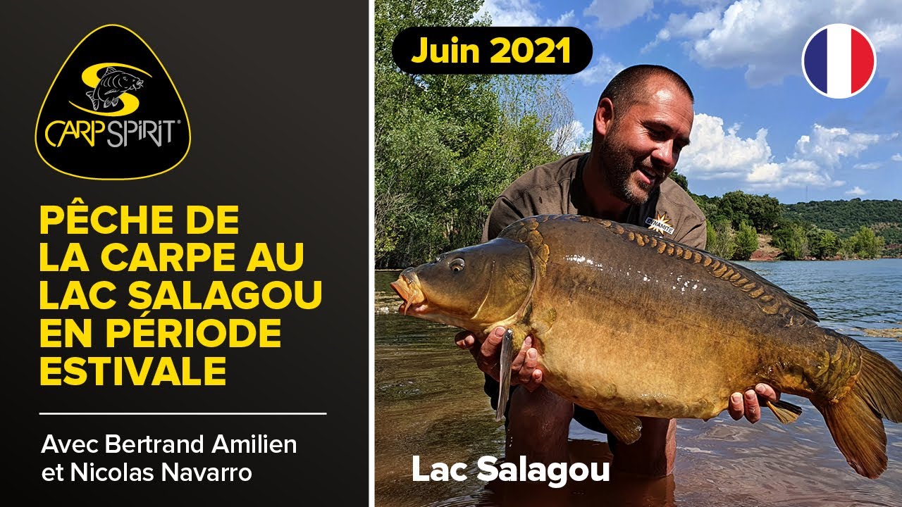 Pêche de la carpe au lac salagou en période estivale / Summer Carp Fishing at Lake Salagou