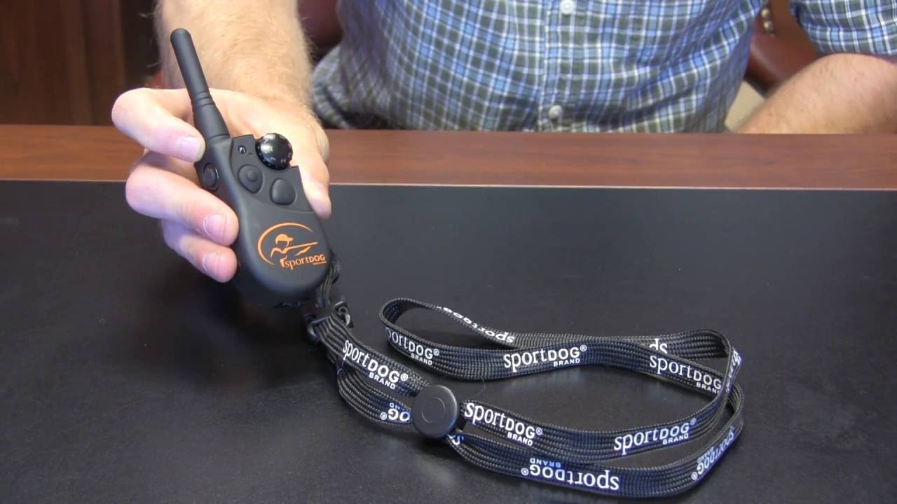 SportDOG 425 E-Collar Review