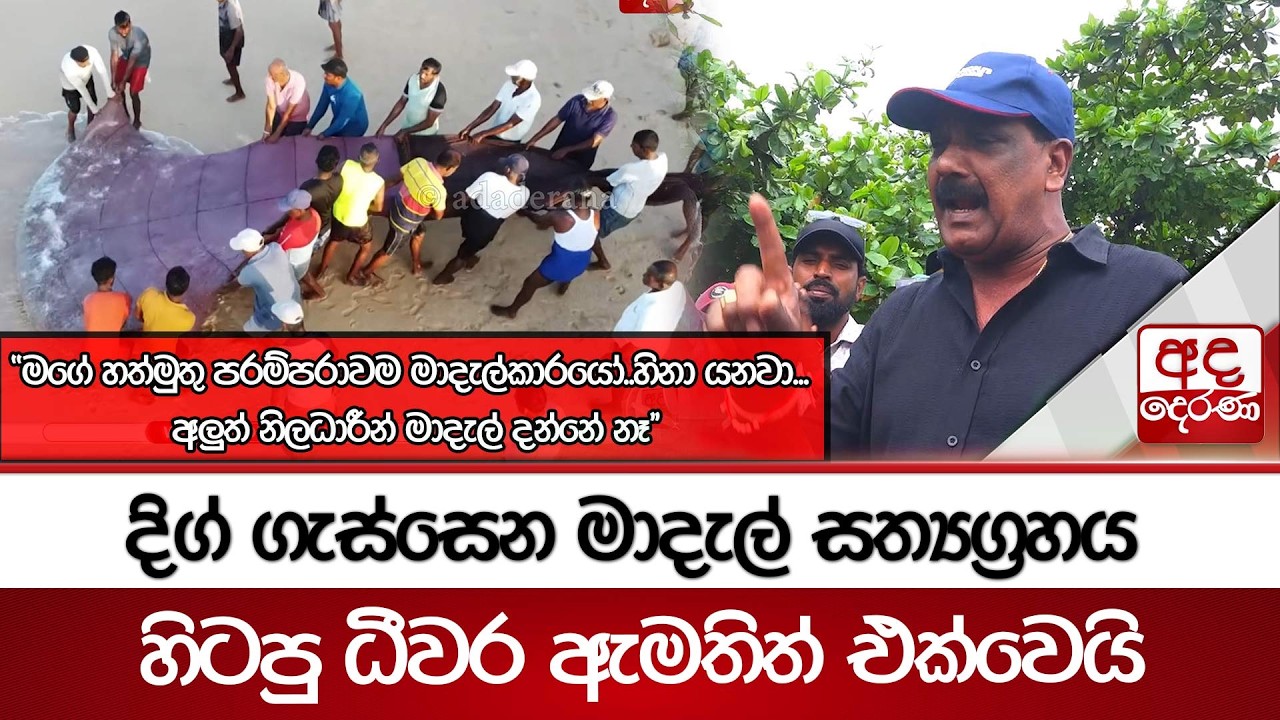දිග් ගැස්සෙන මාදැල් සත්‍යග්‍රහය හිටපු ධීවර ඇමතිත් එක්වෙයි... ''මගේ හත්මුතු පරම්පරාවම මාදැල්කාරයෝ ''
