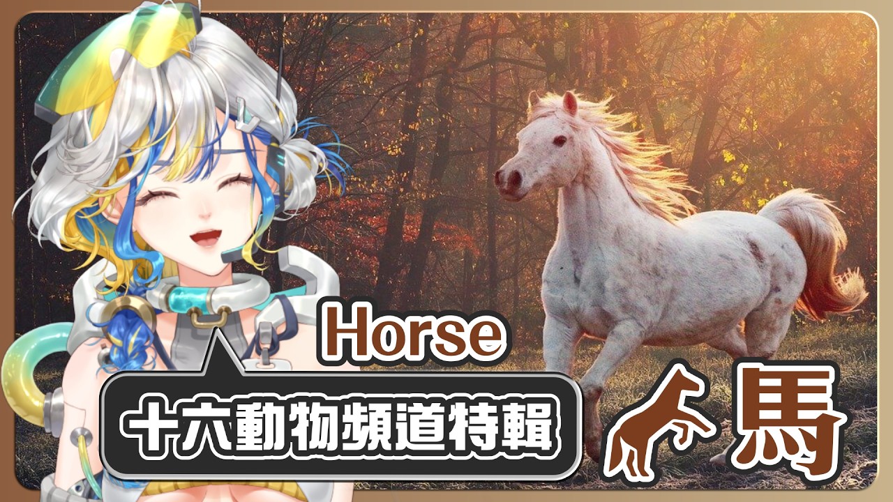 【十六動物頻道特輯】馬｜馬可以做17種表情？記憶力超好會記仇，不只有畫面而是情緒連結記憶！【十六月OctJun】