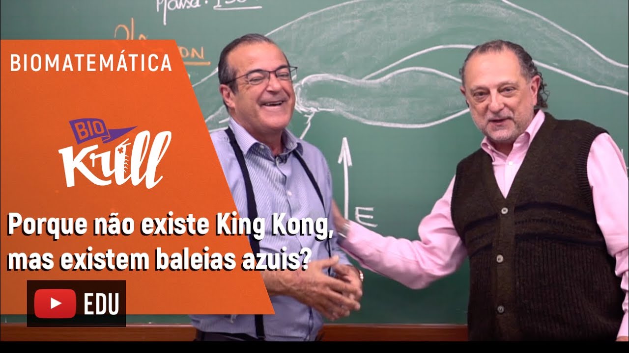 Por que não existe King Kong, mas existem baleias azuis?  | BIOMATEMÁTICA