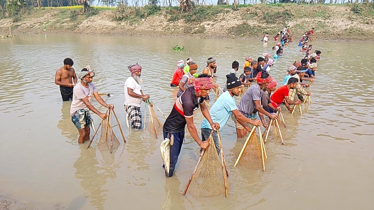 ঐতিহ্যবাহী চাবি জালে বোয়াল মাছ শিকার চলছে