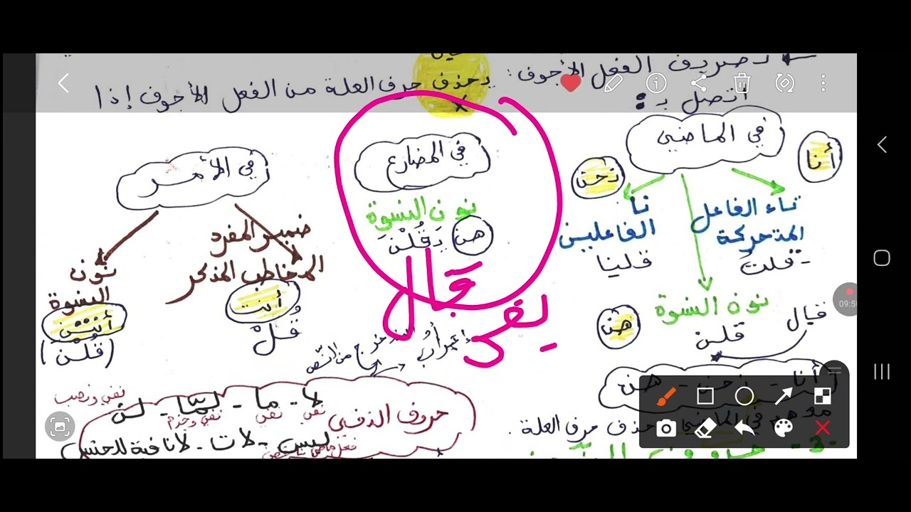 أقوى ملخص للفصل ثاني للسنة الثانية متوسط لغة عربية