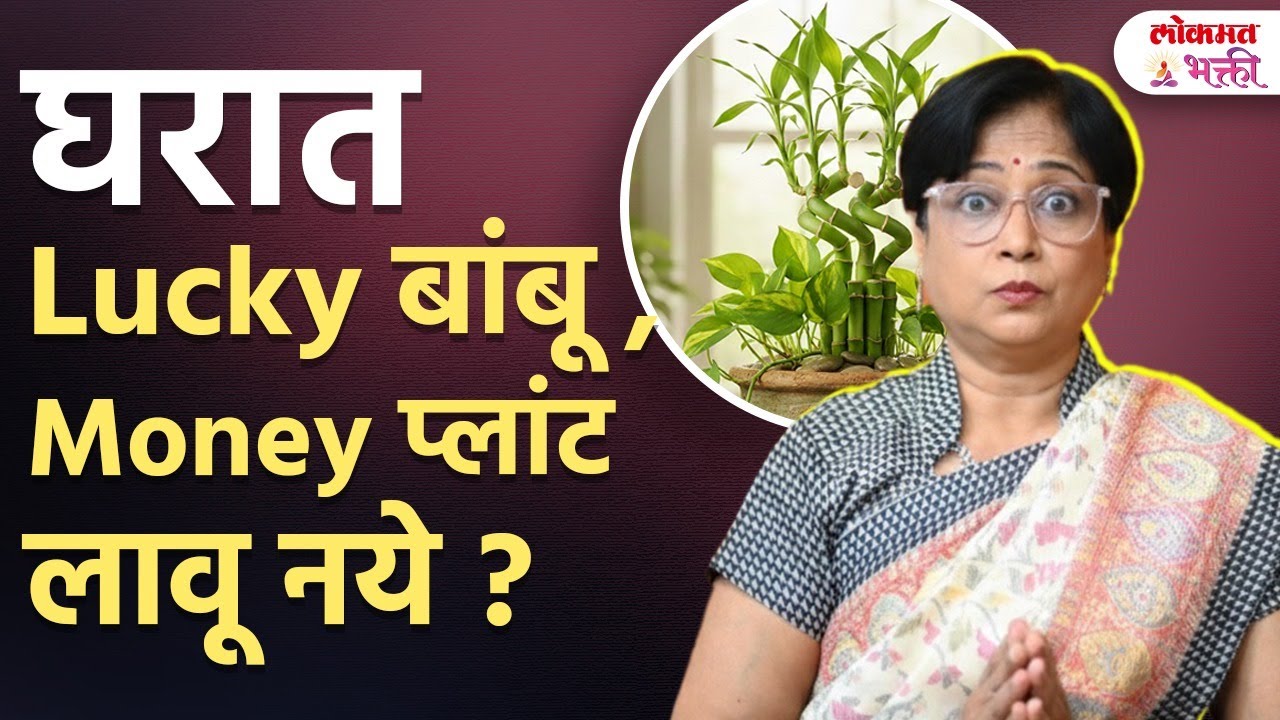 Lucky Bamboo Tree Ani Money Plant Gharat Aasave ki Nasave?#vastutips @AstroguruDrJyotiJoshi | SG4