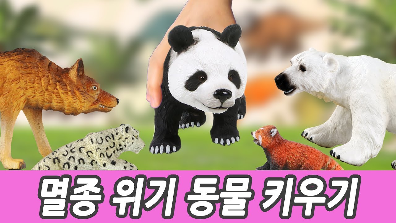 한국어ㅣ멸종위기 동물 키우기! 어린이 만화 영상, 한글 교육, 동물 이름 맞추기, 컬렉타피규어, 시즌5 68화ㅣ꼬꼬스토이