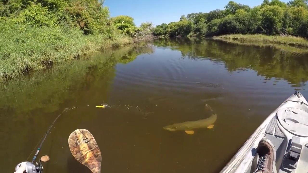 Pike Attack