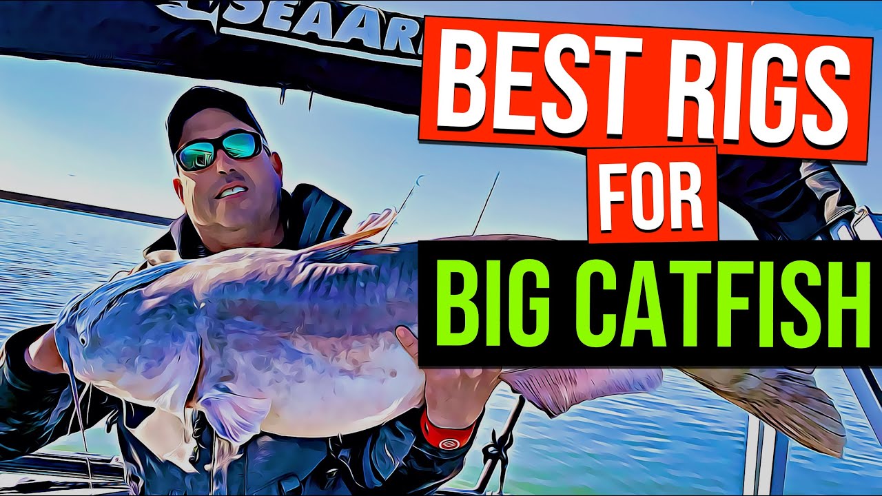 Best Catfish Rigs For BIG CATFISH (and How To Tie Them)