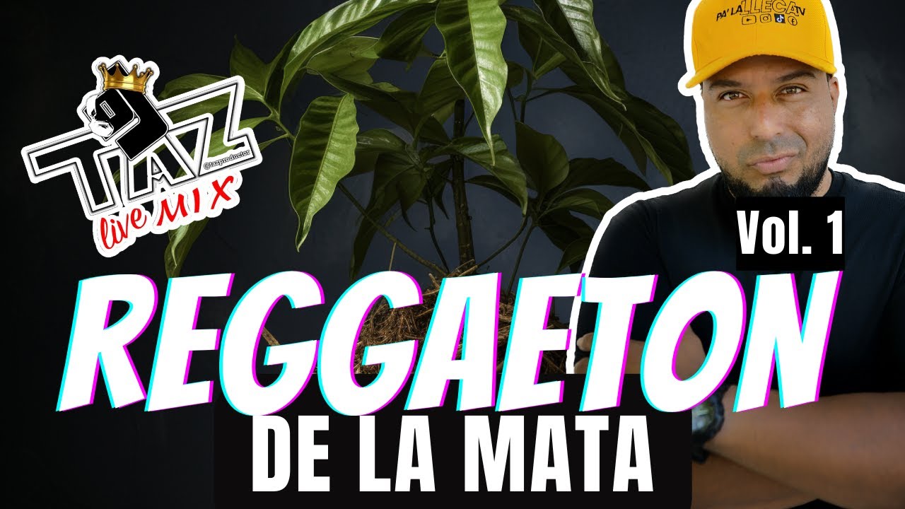 REGGAETON DE LA MATA Vol.1 / Dj Taz 🔥