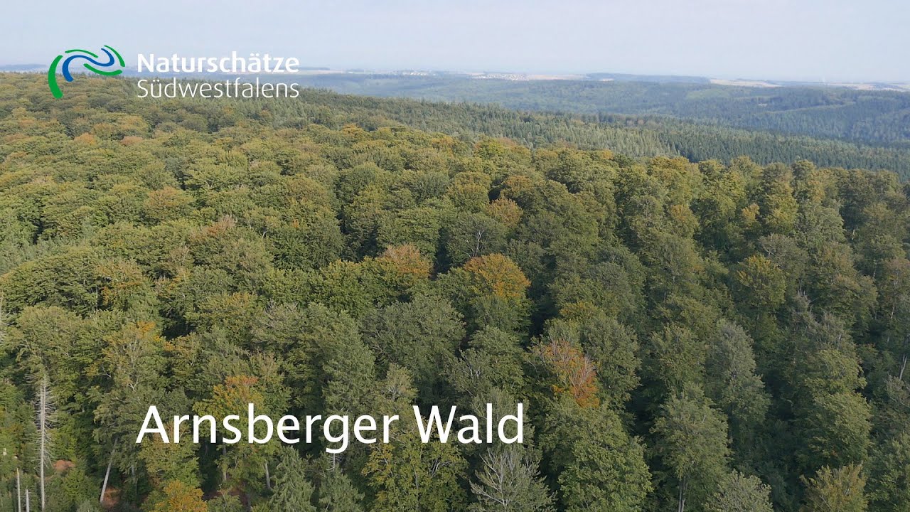Arnsberger - Wald Naturschätze Südwestfalens