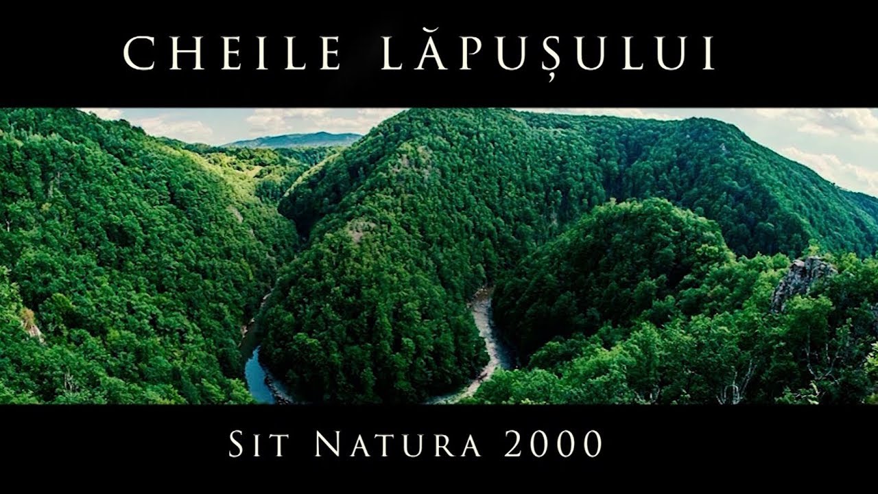 Aria naturala protejata Cheile Lapusului