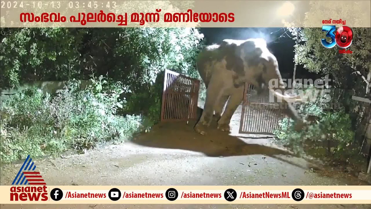 പതിമൂന്നാമതും പടയപ്പ വീട്ടുമുറ്റത്ത്