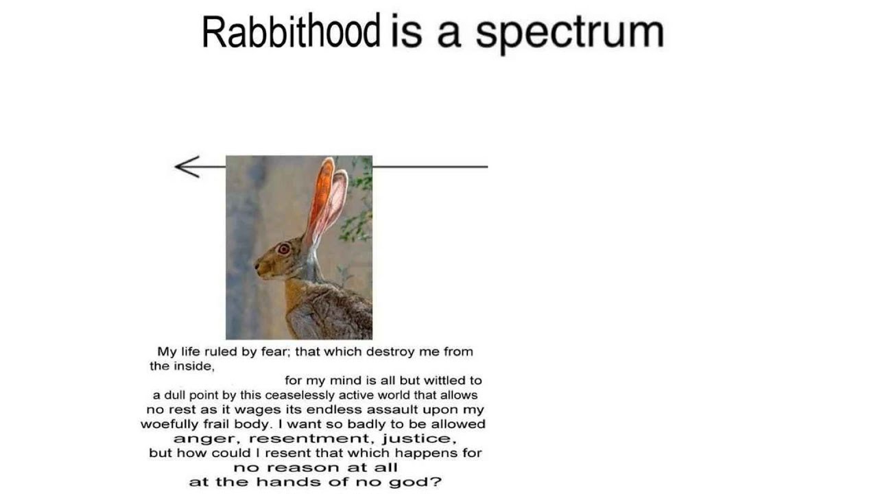 Rabbithood is a spectrum