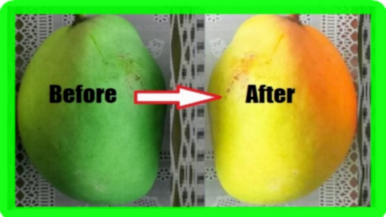 How To Ripen Mangoes At Home Naturally | 5 Simple Mango Ripening Methods
