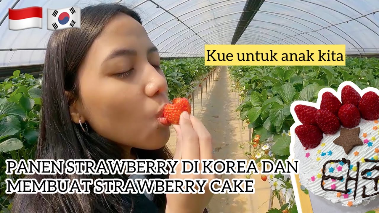 PANEN STRAWBERRY DI KEBUN KOREA😍🍓🇰🇷(BIKIN STRAWBERRY CAKE UNTUK ANAK KITA)