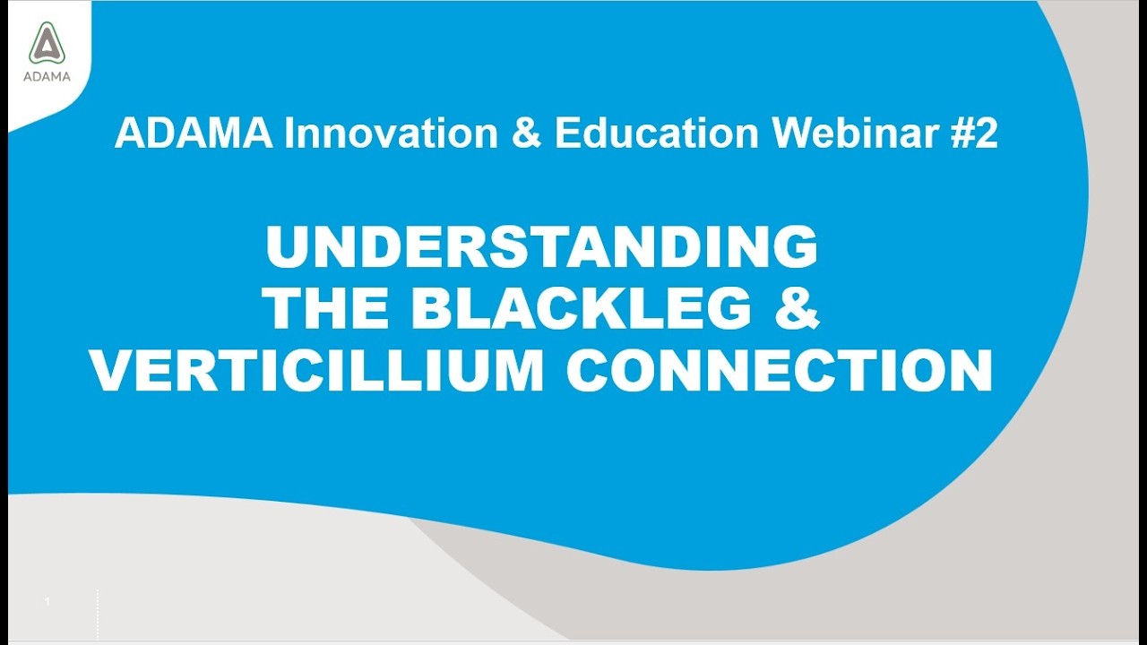 Understanding the Blackleg & Verticillium Connection Webinar