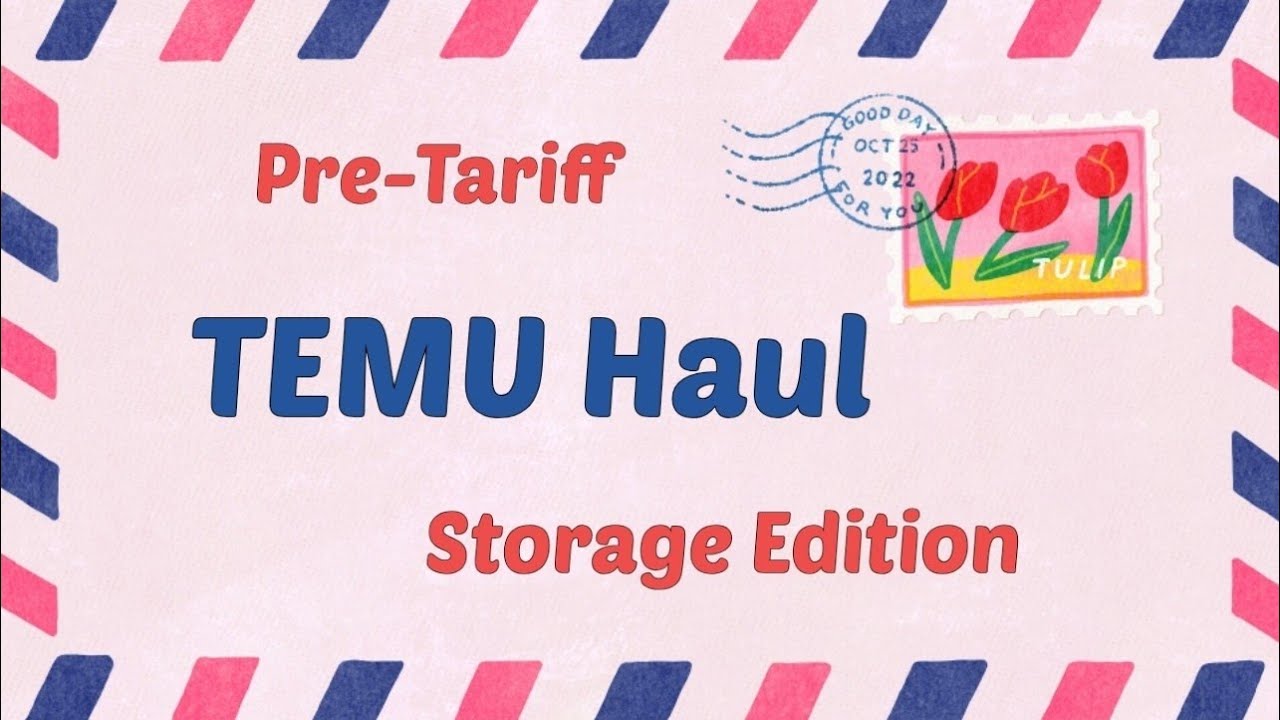 TEMU Haul - Nice Storage Items