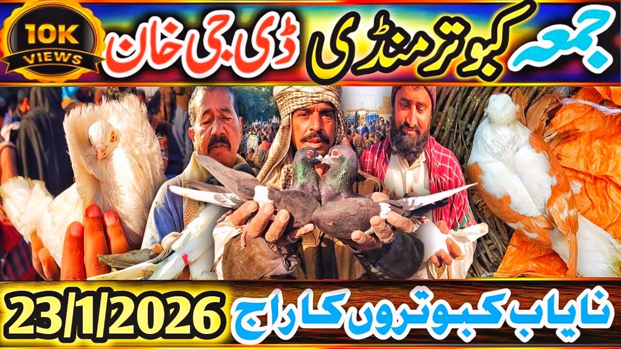 Kabootar Mandi | Dera Ghazi Khan Latest Update 38Vlog | DGKhan Mandi | Pigeon Market DGKhan Special