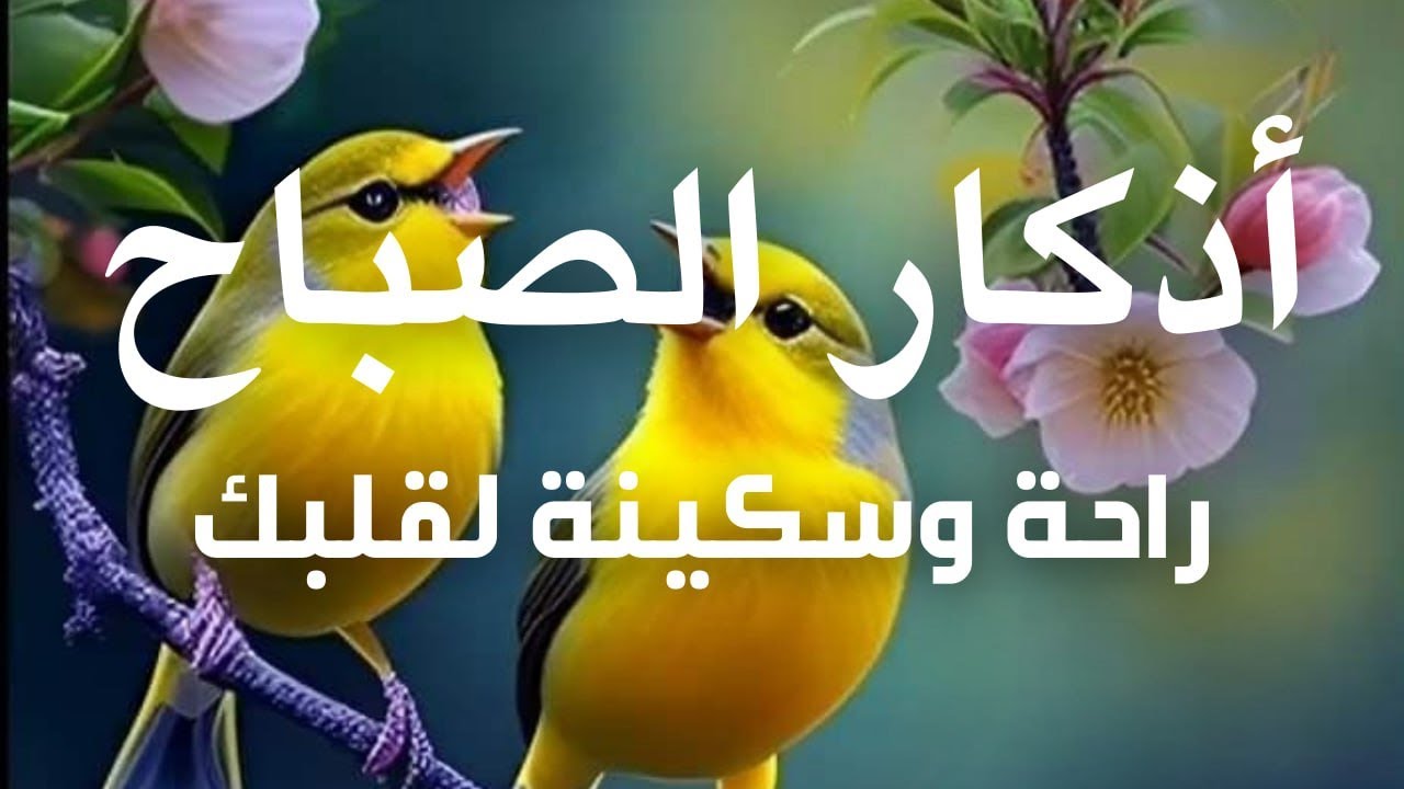 أذكار الصباح - راحة نفسية لا توصف بصوت القارئ علاء عقل | Morning Athkar - Dzkir Pagi