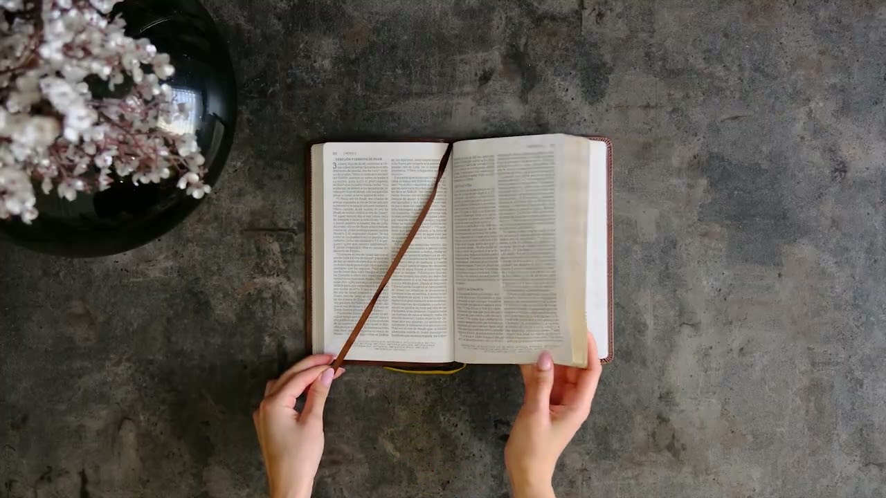 Santa Biblia NBLA, Ultrafina, Letra grande, Leathersoft&copy; Caf&eacute;