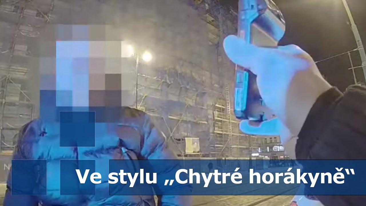 Ve stylu „Chytré horákyně“ … řidičák udělal x neudělal, auto koupil x nekoupil …