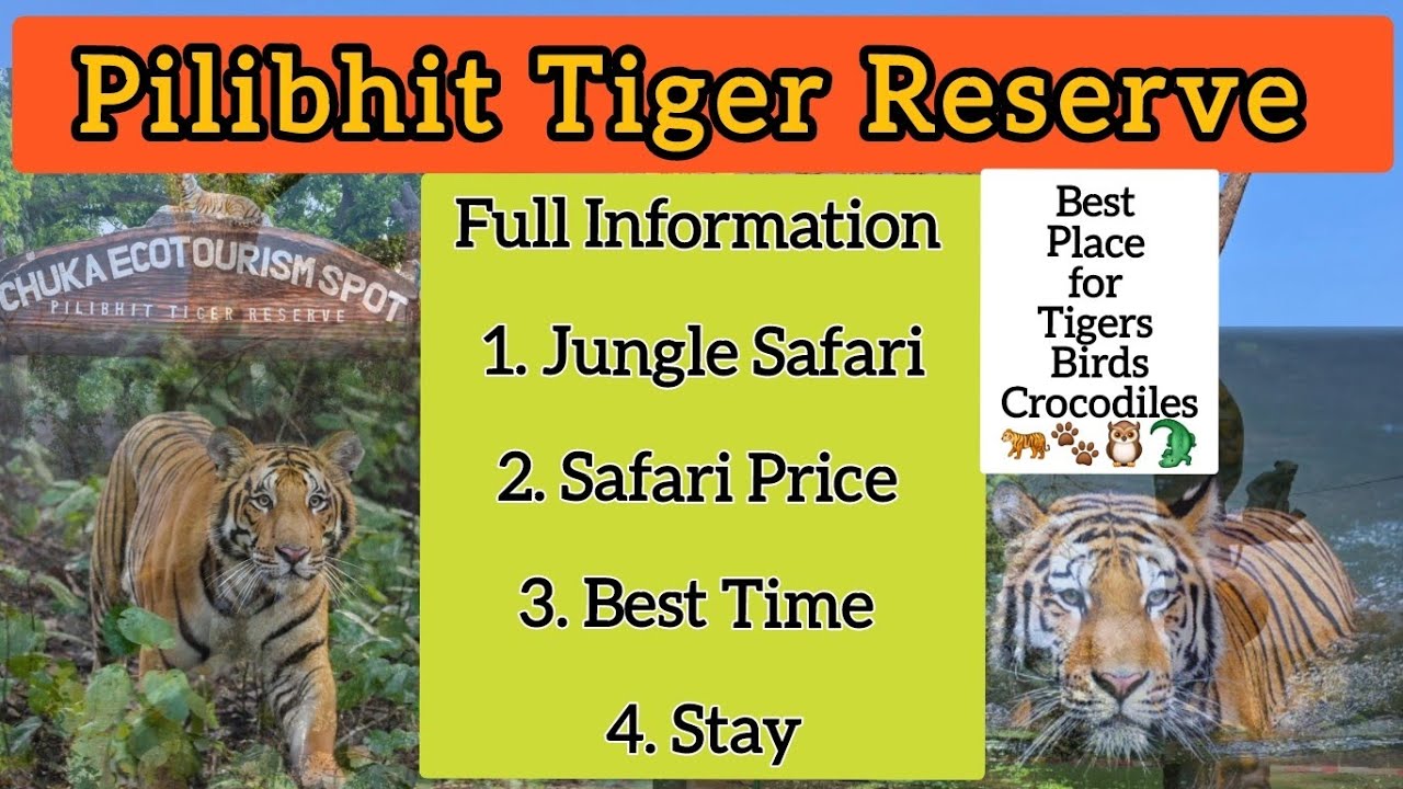Pilibhit Tiger Reserve  | Jungle Safari In Pilibhit | Chuka Beach | Pilibhit Jeep Safari, Pilibhit
