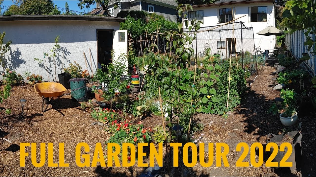 September back yard garden FULL TOUR & BREAKDOWN in Vancouver, BC (Zone 8b)